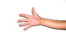 Bild: Eine Hand wird vor einer Videokamera auf und ab bewegt
